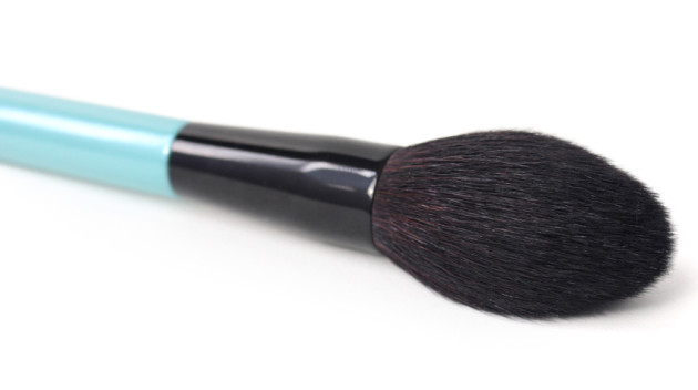 Pointed face brush review