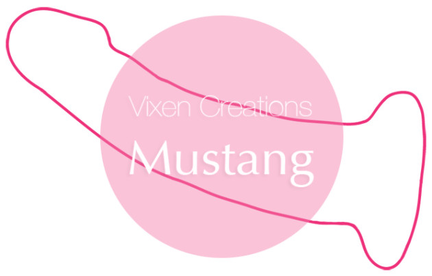 Vixen VixSkin Mustang review art