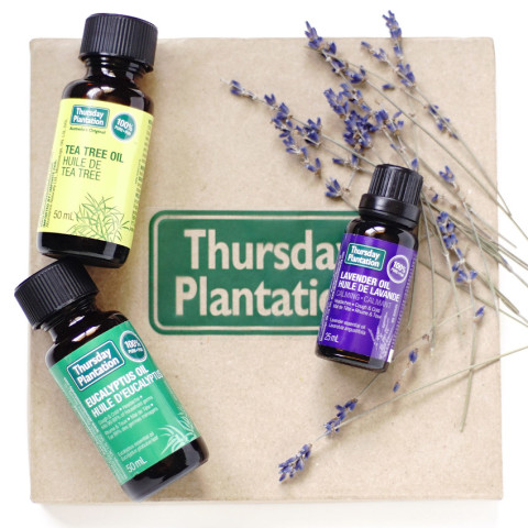 Thursday Plantation essential oils review