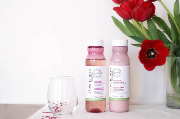 biolage-raw-hair-smoothie-review