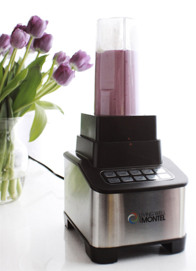 Living Well with Montel 1200W Emulsifier Blender review