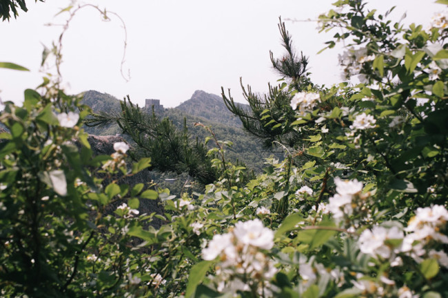 Daqingshan mountain